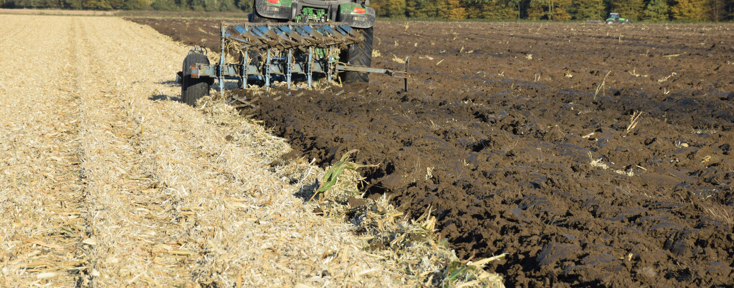 Eine abgeerntetes Getreidefeld wird umgepflügt
