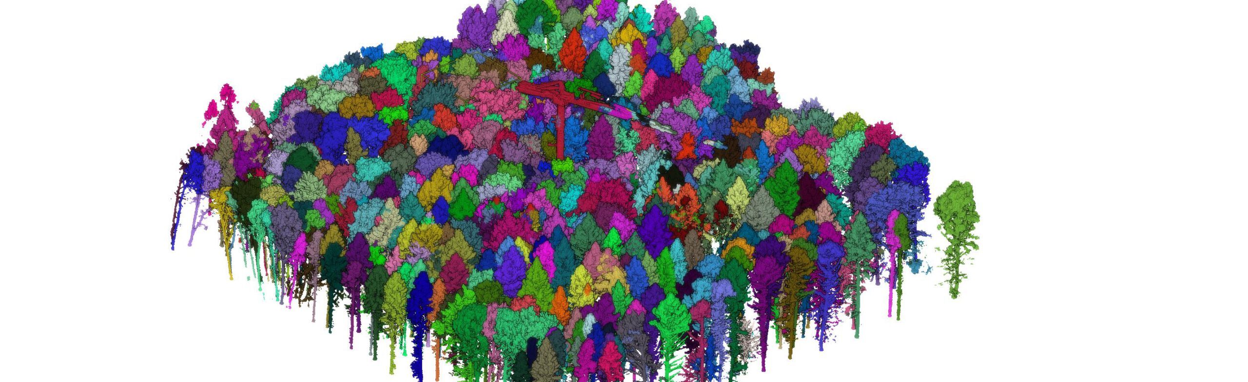 schematische Luftaufnahme eines Waldstückes, auf dem einzelne Bäume je nach Baumart coloriert sind.